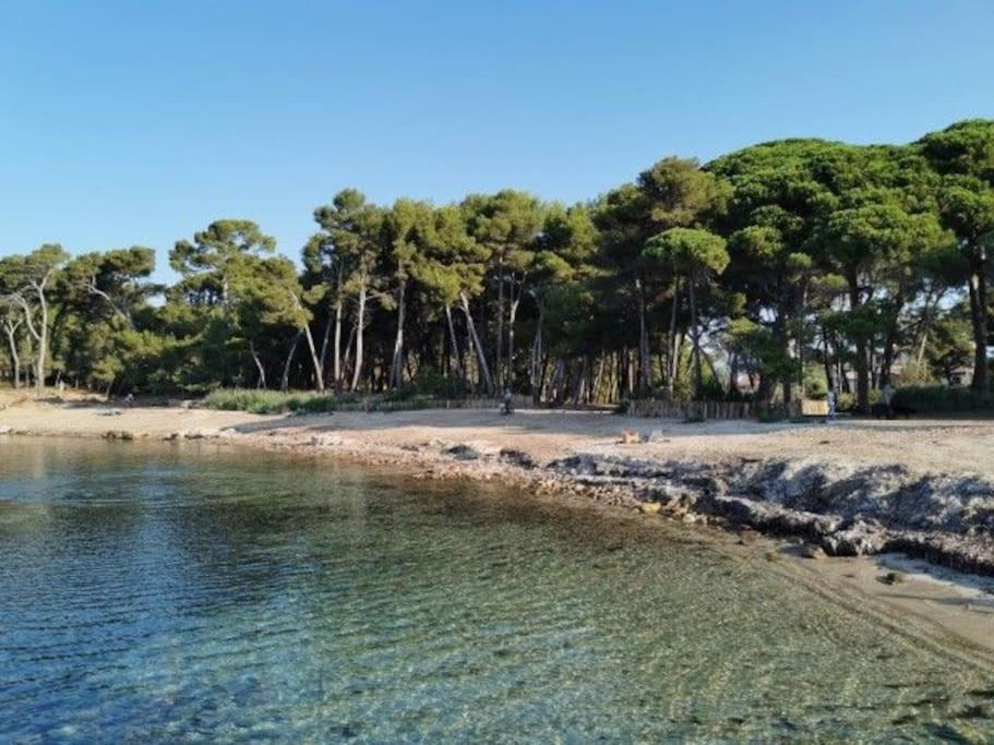 Charmant Studio Climatise 24 M2 Terrasse A 100M De La Plage Saint-Mandrier-sur-Mer Eksteriør bilde